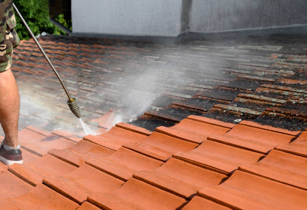 Best Roof Pressure Washing  in Hutchison, VA